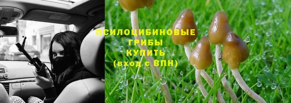 шишки Абинск