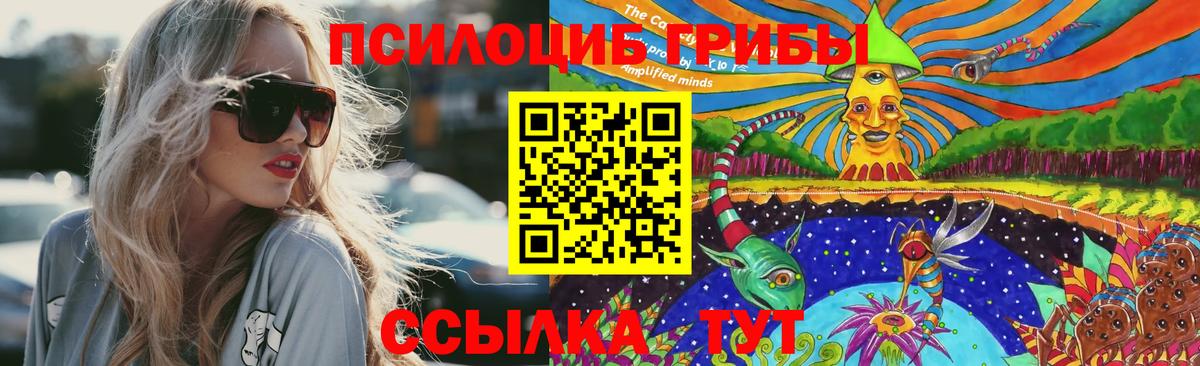 Красный Сулин  наркота  Вход с VPN  Галлюциногенные грибы GOLDEN TEACHER  Псилоцибиновые грибы мухоморы 